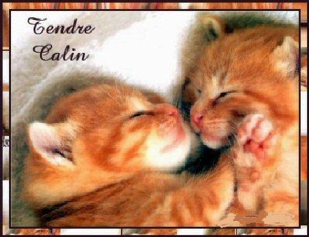 Tendresse